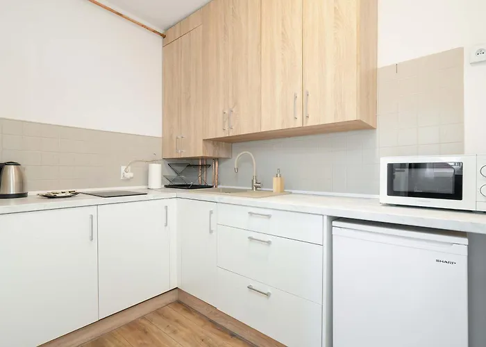 Wyjatkowe Jasne W Centrum Poznania By Renters Lägenhet Poznań